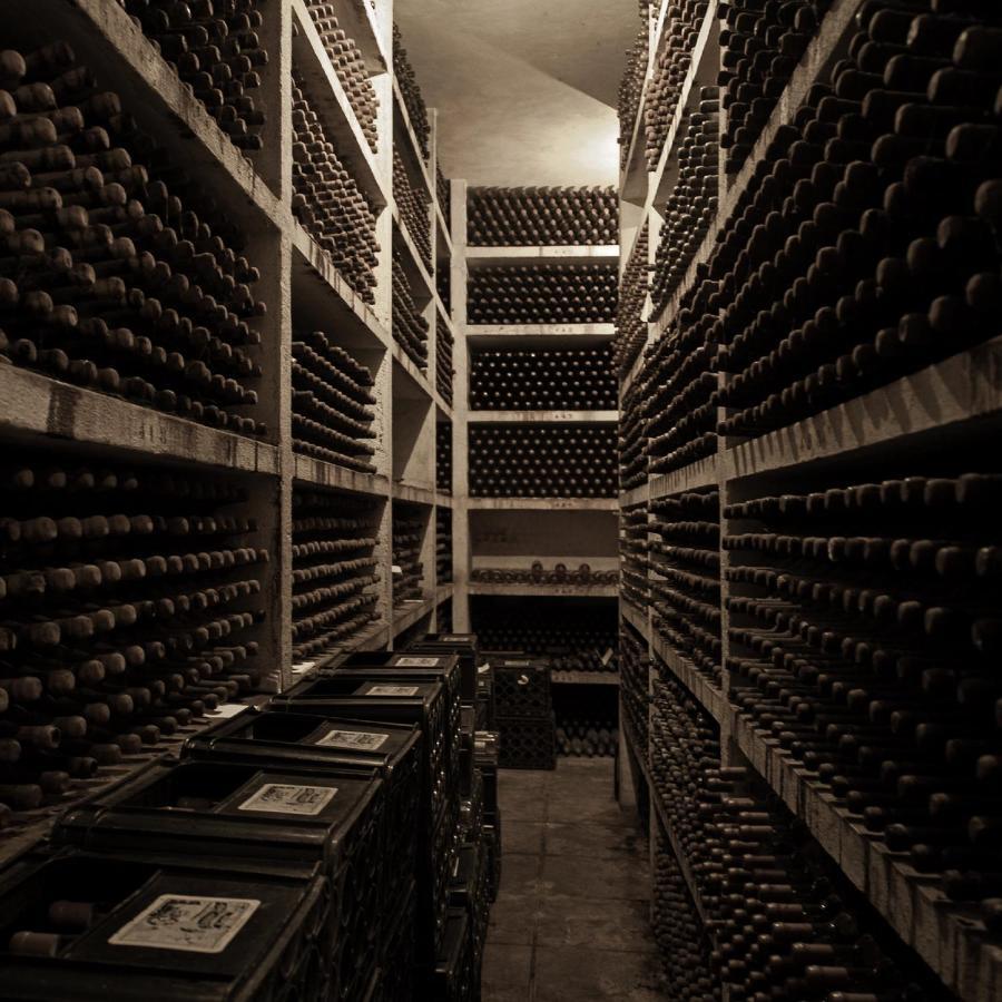 Palace Hotel Do Bussaco Luso  Luaran gambar Wine cellar
