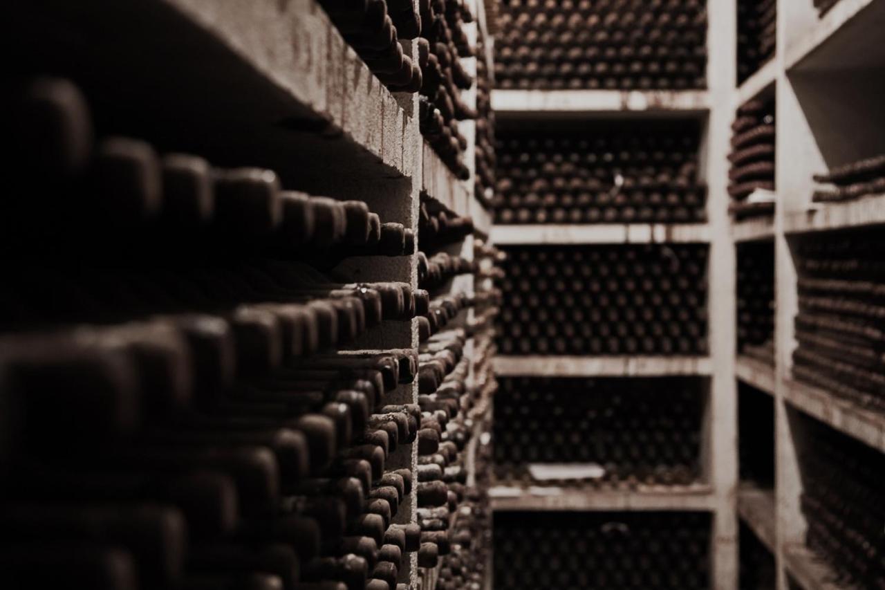 Palace Hotel Do Bussaco Luso  Luaran gambar Wine cellar